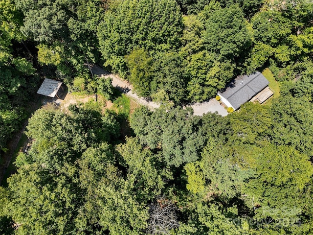 946 Turkey Pen Gap Rd, Horse Shoe, NC 28742 - photo 27