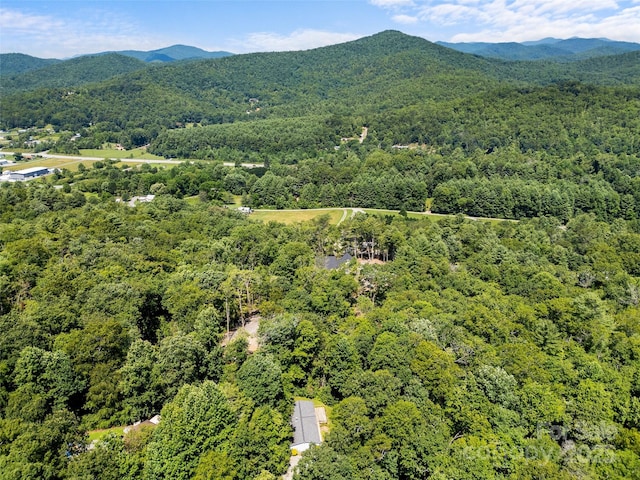 946 Turkey Pen Gap Rd, Horse Shoe, NC 28742 - photo 28