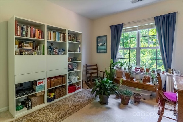 332 Appeldoorn Cir, Asheville, NC 28803 - photo 19