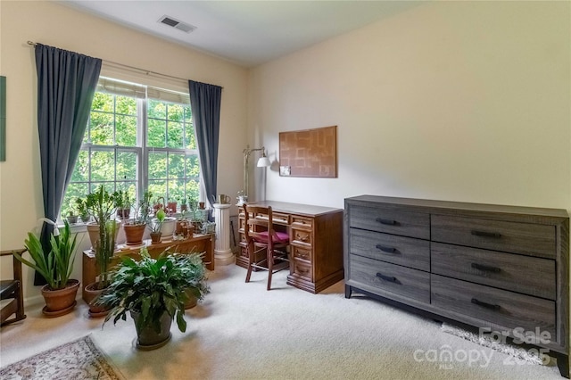 332 Appeldoorn Cir, Asheville, NC 28803 - photo 20