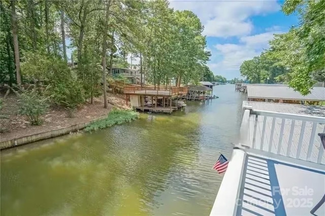 696 Springwood Dr, Mount Gilead, NC 27306 - dock with a water view