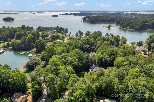 2866 Backwoods Trl, Denver, NC 28037 - bird's eye view of a nearby body of water
