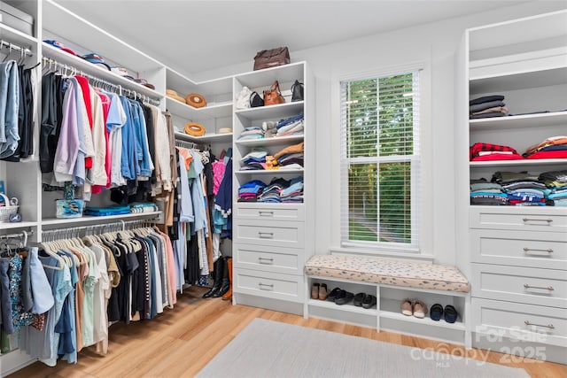 2866 Backwoods Trl, Denver, NC 28037 - walk in closet featuring light wood-style flooring