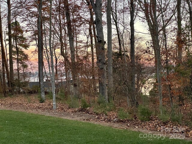 2866 Backwoods Trl, Denver, NC 28037 - view of green lawn