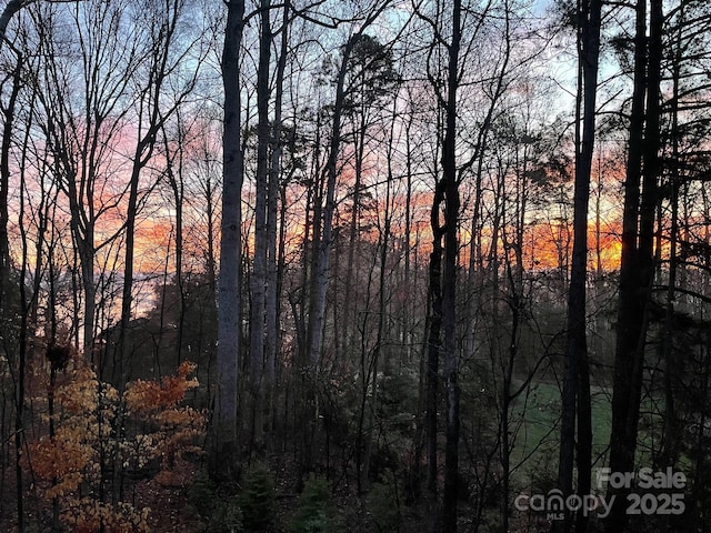 2866 Backwoods Trl, Denver, NC 28037 - nature at dusk featuring a view of trees