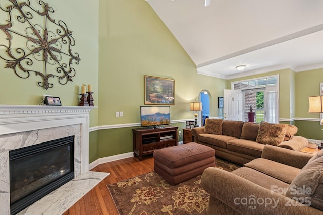 3865 Willow Grove Ln, Concord, NC 28025 - living area with wood finished floors, a high end fireplace, high vaulted ceiling, and ornamental molding