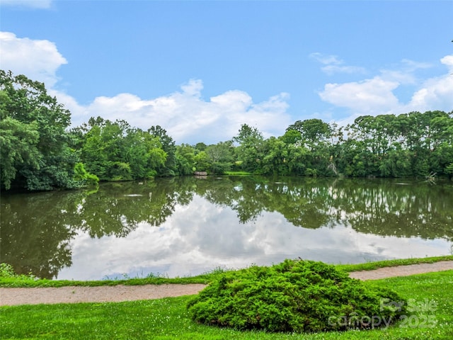 119 Birchbark Dr, Mills River, NC 28759 - photo 45