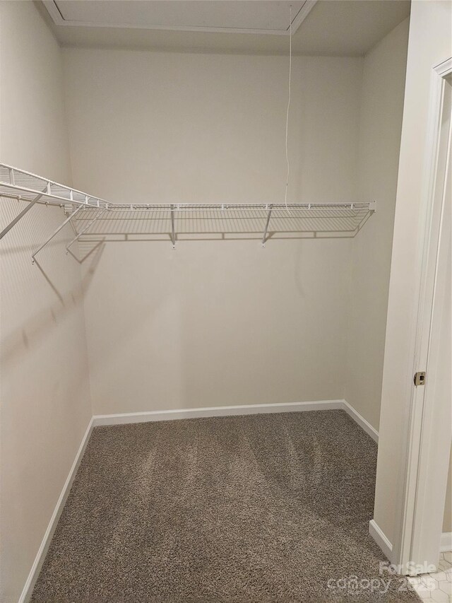 368 Saddlebred Ln, Locust, NC 28097 - walk in closet featuring attic access and carpet floors