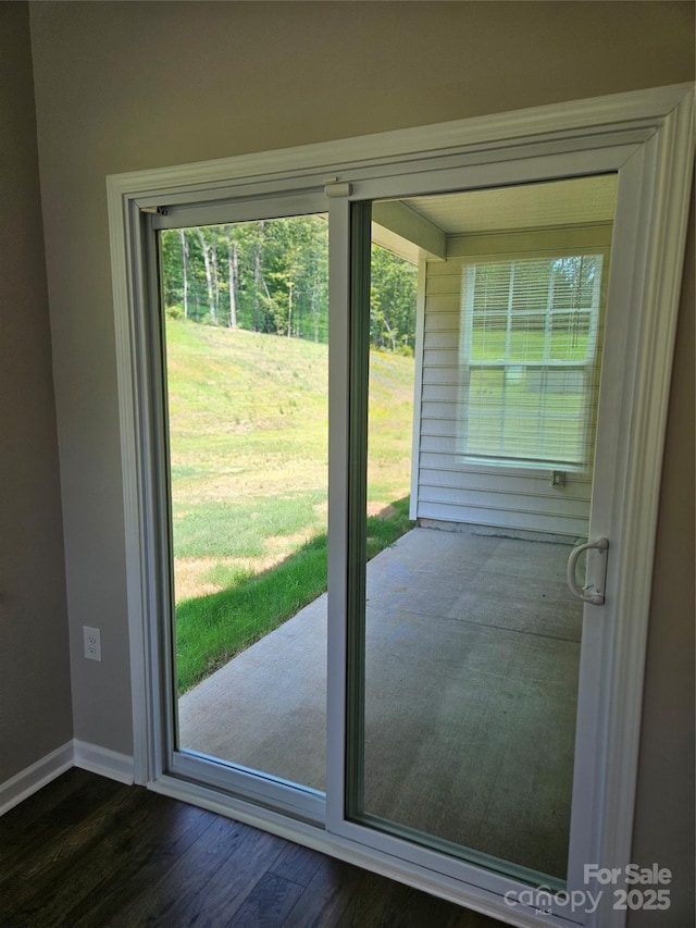 368 Saddlebred Ln, Locust, NC 28097 - doorway to outside with plenty of natural light and dark wood-type flooring