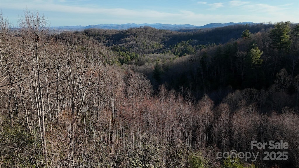 0 Cummings Ridge Trail 13, Hendersonville, NC 28739
