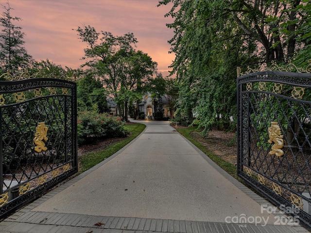 18201 Mainsail Pointe Dr, Cornelius, NC 28031 - view of gate at dusk