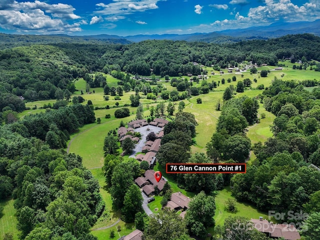 76 Glen Cannon Pt Unit 1, Pisgah Forest, NC 28768 - photo 8