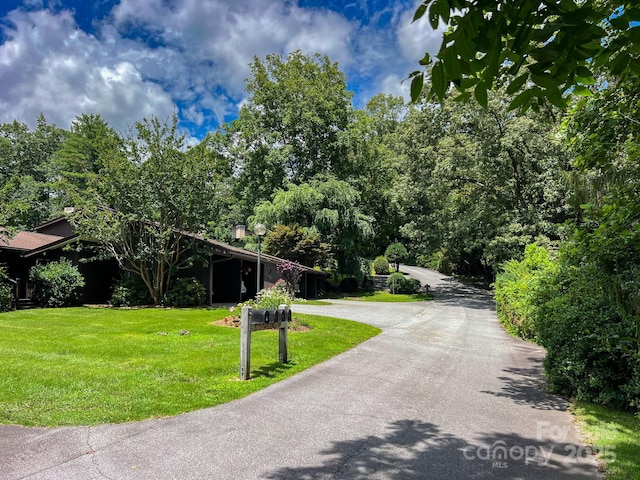 76 Glen Cannon Pt Unit 1, Pisgah Forest, NC 28768 - photo 46