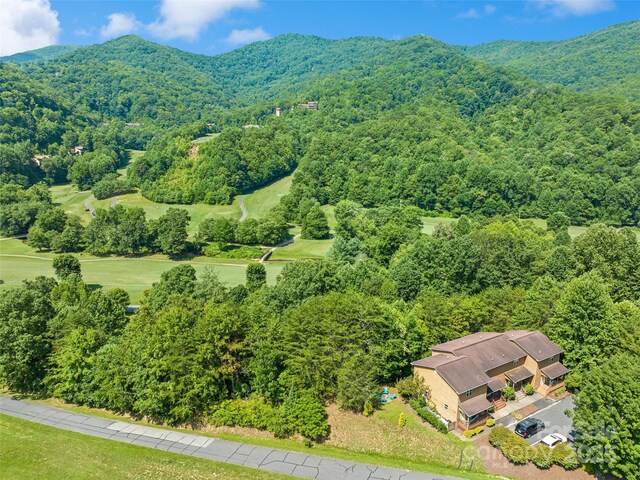 151 Country Club Dr Unit 3, Whittier, NC 28789 - photo 4