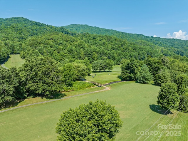 151 Country Club Dr Unit 3, Whittier, NC 28789 - photo 10