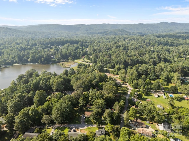 206 S Carolina Ave, Hendersonville, NC 28739 - photo 4