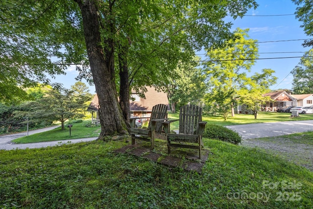 206 S Carolina Ave, Hendersonville, NC 28739 - photo 6