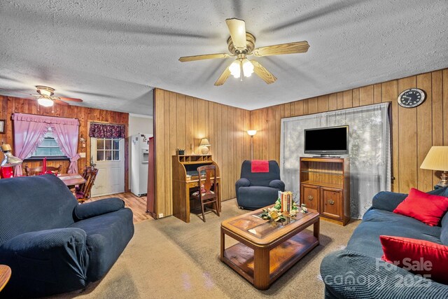 206 S Carolina Ave, Hendersonville, NC 28739 - photo 13