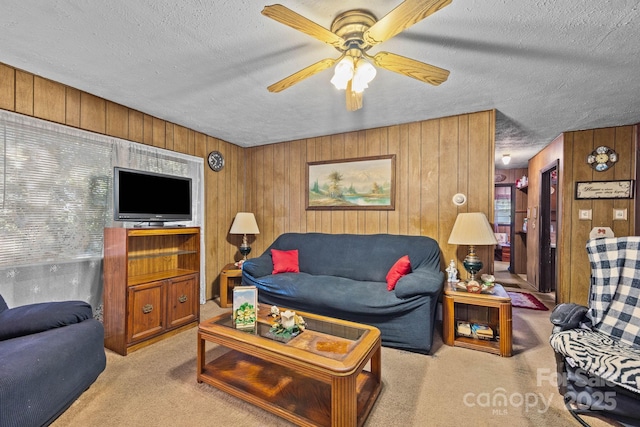 206 S Carolina Ave, Hendersonville, NC 28739 - photo 15