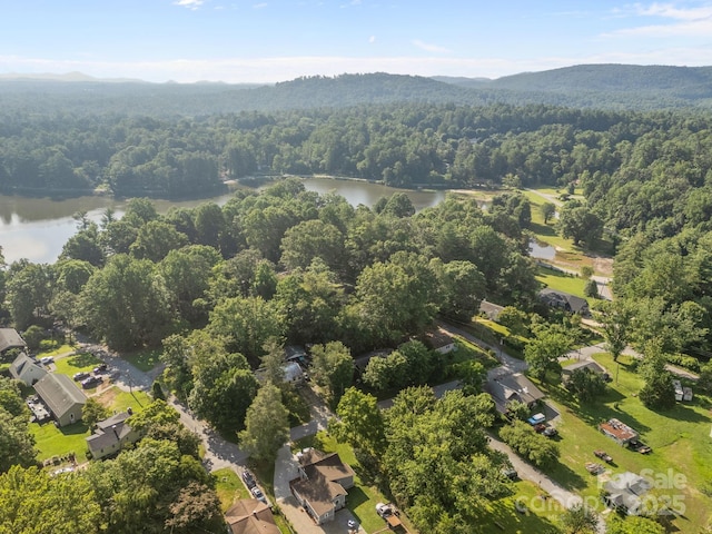 206 S Carolina Ave, Hendersonville, NC 28739 - photo 35