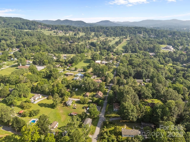 206 S Carolina Ave, Hendersonville, NC 28739 - photo 37