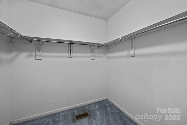 9008 St Croix Ln, Charlotte, NC 28277 - walk in closet with dark carpet