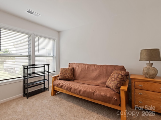 607 Santa Clara Dr, Asheville, NC 28806 - photo 20