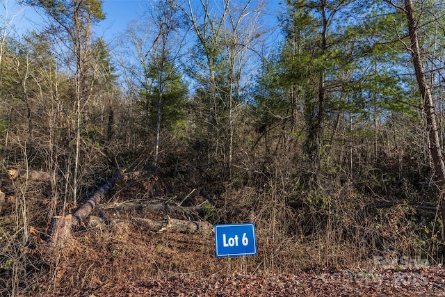 112 Saddle Ridge Dr Unit 6, Alexander, NC 28701 - photo 1