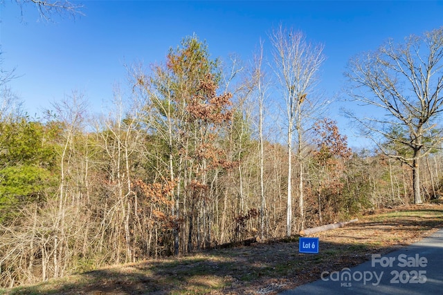 112 Saddle Ridge Dr Unit 6, Alexander, NC 28701 - photo 2