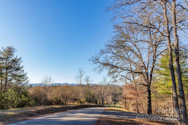 112 Saddle Ridge Dr Unit 6, Alexander, NC 28701 - photo 3