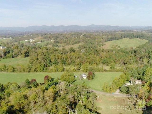 112 Saddle Ridge Dr Unit 6, Alexander, NC 28701 - photo 5