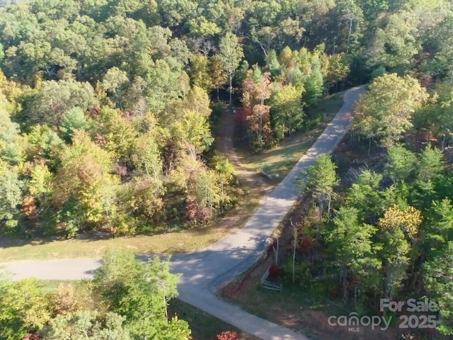 112 Saddle Ridge Dr Unit 6, Alexander, NC 28701 - photo 7