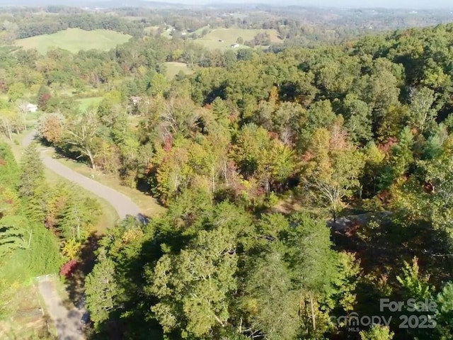 112 Saddle Ridge Dr Unit 6, Alexander, NC 28701 - photo 8