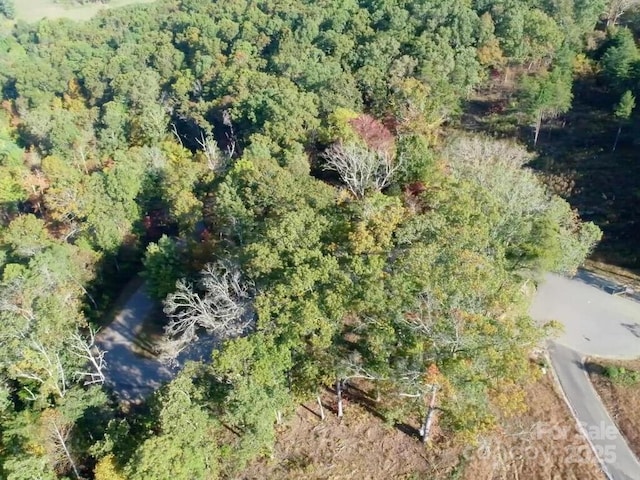 112 Saddle Ridge Dr Unit 6, Alexander, NC 28701 - photo 9