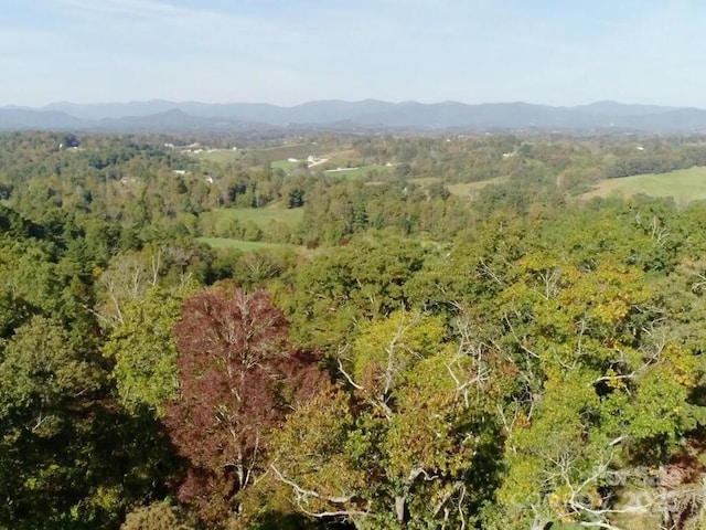 112 Saddle Ridge Dr Unit 6, Alexander, NC 28701 - photo 11