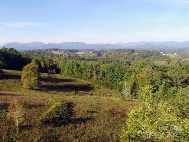 112 Saddle Ridge Dr Unit 6, Alexander, NC 28701 - photo 12