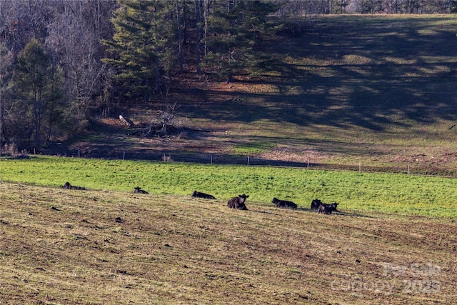 112 Saddle Ridge Dr Unit 6, Alexander, NC 28701 - photo 13
