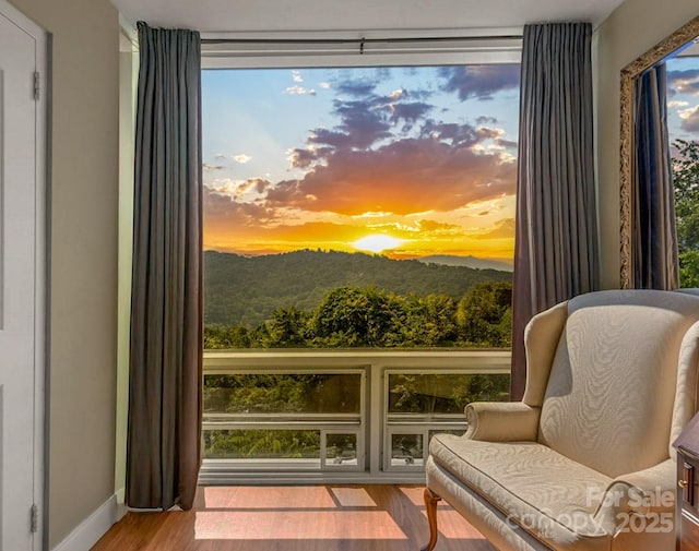 647 Town Mountain Rd Unit 505, Asheville, NC 28804 - photo 1