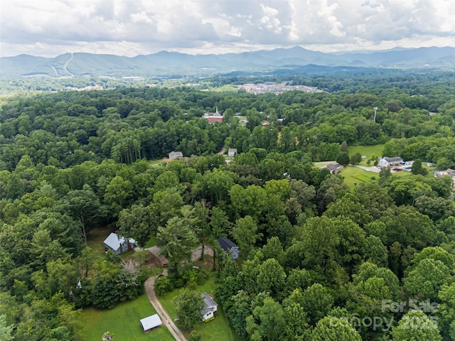 239 Bonnies Meadow Pl, Asheville, NC 28806 - photo 46