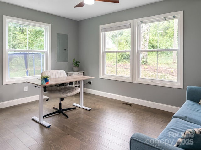 239 Bonnies Meadow Pl, Asheville, NC 28806 - photo 25