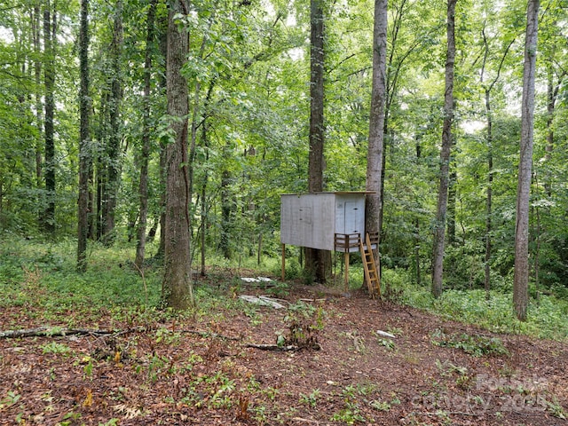 239 Bonnies Meadow Pl, Asheville, NC 28806 - photo 39