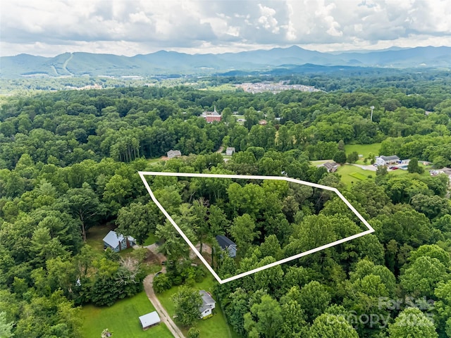 239 Bonnies Meadow Pl, Asheville, NC 28806 - photo 45