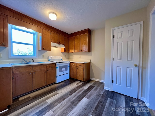 3 Wesley Branch Rd, Asheville, NC 28806 - photo 6