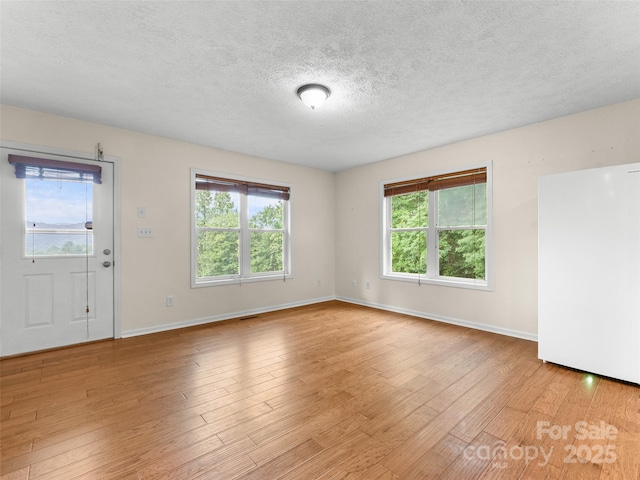 96 Habitat Way, Brevard, NC 28712 - foyer featuring a textured ceiling and light wood-type flooring