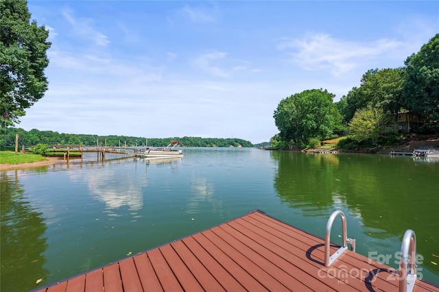 4345 Stewart Rd, Claremont, NC 28610 - photo 5