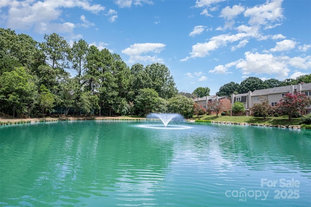 6616 Bunker Hill Cir, Charlotte, NC 28210 - photo 23