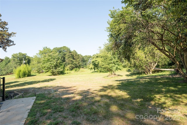 116 Hornets Nest Ct, Bessemer City, NC 28016 - photo 17