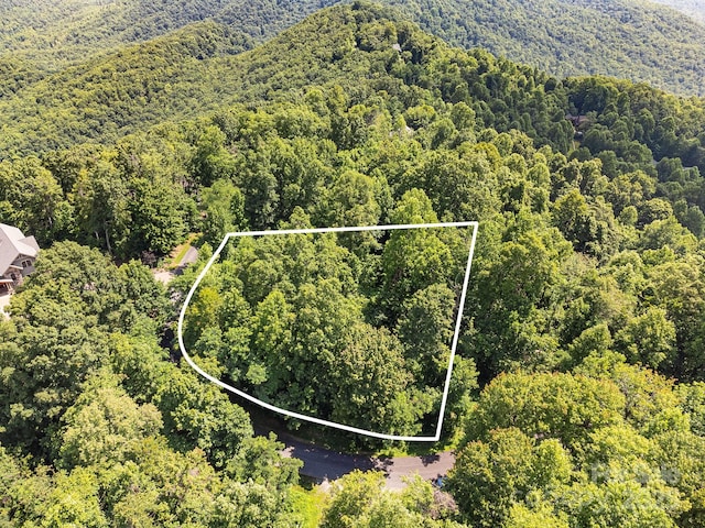 2523 Creston Dr Unit T-24, Black Mountain, NC 28711 - photo 2