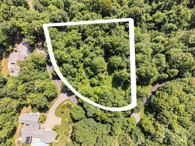 2523 Creston Dr Unit T-24, Black Mountain, NC 28711 - photo 4