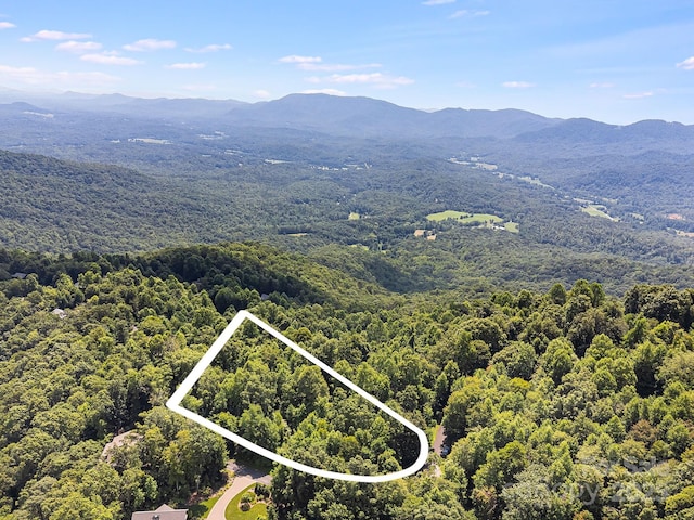 2523 Creston Dr Unit T-24, Black Mountain, NC 28711 - photo 6
